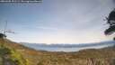 ./images/calvert/fitz-hugh-hecate/20260405/fitz-hugh-hecate20260405_151502M.jpg