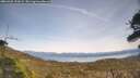 ./images/calvert/fitz-hugh-hecate/20260405/fitz-hugh-hecate20260405_152001M.jpg