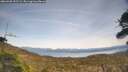 ./images/calvert/fitz-hugh-hecate/20260405/fitz-hugh-hecate20260405_152501M.jpg