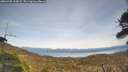 ./images/calvert/fitz-hugh-hecate/20260405/fitz-hugh-hecate20260405_153001M.jpg