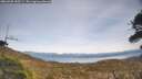 ./images/calvert/fitz-hugh-hecate/20260405/fitz-hugh-hecate20260405_153501M.jpg
