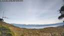 ./images/calvert/fitz-hugh-hecate/20260405/fitz-hugh-hecate20260405_154001M.jpg
