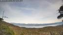 ./images/calvert/fitz-hugh-hecate/20260405/fitz-hugh-hecate20260405_155501M.jpg