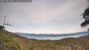 ./images/calvert/fitz-hugh-hecate/20260405/fitz-hugh-hecate20260405_161002M.jpg