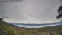 ./images/calvert/fitz-hugh-hecate/20260405/fitz-hugh-hecate20260405_175001M.jpg