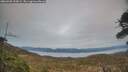 ./images/calvert/fitz-hugh-hecate/20260405/fitz-hugh-hecate20260405_200002M.jpg