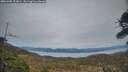 ./images/calvert/fitz-hugh-hecate/20260405/fitz-hugh-hecate20260405_201001M.jpg
