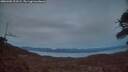 ./images/calvert/fitz-hugh-hecate/20260405/fitz-hugh-hecate20260405_203502M.jpg