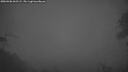 ./images/calvert/fitz-hugh-hecate/20260406/fitz-hugh-hecate20260406_062501M.jpg