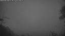 ./images/calvert/fitz-hugh-hecate/20260406/fitz-hugh-hecate20260406_063001M.jpg
