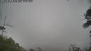 ./images/calvert/fitz-hugh-hecate/20260406/fitz-hugh-hecate20260406_073002M.jpg