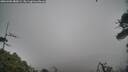 ./images/calvert/fitz-hugh-hecate/20260406/fitz-hugh-hecate20260406_080001M.jpg