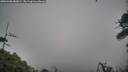 ./images/calvert/fitz-hugh-hecate/20260406/fitz-hugh-hecate20260406_081001M.jpg