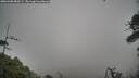 ./images/calvert/fitz-hugh-hecate/20260406/fitz-hugh-hecate20260406_083501M.jpg