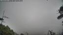 ./images/calvert/fitz-hugh-hecate/20260406/fitz-hugh-hecate20260406_084001M.jpg