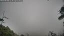./images/calvert/fitz-hugh-hecate/20260406/fitz-hugh-hecate20260406_084501M.jpg