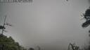 ./images/calvert/fitz-hugh-hecate/20260406/fitz-hugh-hecate20260406_085001M.jpg