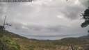 ./images/calvert/fitz-hugh-hecate/20260406/fitz-hugh-hecate20260406_100001M.jpg