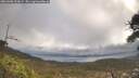./images/calvert/fitz-hugh-hecate/20260406/fitz-hugh-hecate20260406_103002M.jpg