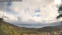 ./images/calvert/fitz-hugh-hecate/20260406/fitz-hugh-hecate20260406_104002M.jpg