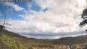 ./images/calvert/fitz-hugh-hecate/20260406/fitz-hugh-hecate20260406_105001M.jpg