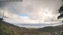 ./images/calvert/fitz-hugh-hecate/20260406/fitz-hugh-hecate20260406_111001M.jpg