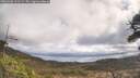 ./images/calvert/fitz-hugh-hecate/20260406/fitz-hugh-hecate20260406_111501M.jpg