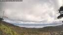 ./images/calvert/fitz-hugh-hecate/20260406/fitz-hugh-hecate20260406_112501M.jpg