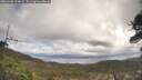 ./images/calvert/fitz-hugh-hecate/20260406/fitz-hugh-hecate20260406_114001M.jpg