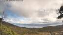 ./images/calvert/fitz-hugh-hecate/20260406/fitz-hugh-hecate20260406_114501M.jpg