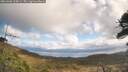 ./images/calvert/fitz-hugh-hecate/20260406/fitz-hugh-hecate20260406_120001M.jpg