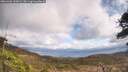 ./images/calvert/fitz-hugh-hecate/20260406/fitz-hugh-hecate20260406_130001M.jpg