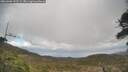 ./images/calvert/fitz-hugh-hecate/20260406/fitz-hugh-hecate20260406_132501M.jpg