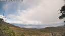 ./images/calvert/fitz-hugh-hecate/20260406/fitz-hugh-hecate20260406_133001M.jpg