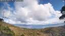 ./images/calvert/fitz-hugh-hecate/20260406/fitz-hugh-hecate20260406_135501M.jpg