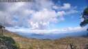 ./images/calvert/fitz-hugh-hecate/20260406/fitz-hugh-hecate20260406_165002M.jpg