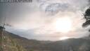 ./images/calvert/fitz-hugh-hecate/20260407/fitz-hugh-hecate20260407_081001M.jpg