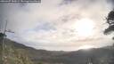 ./images/calvert/fitz-hugh-hecate/20260407/fitz-hugh-hecate20260407_083001M.jpg