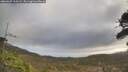 ./images/calvert/fitz-hugh-hecate/20260407/fitz-hugh-hecate20260407_100501M.jpg