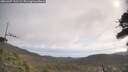 ./images/calvert/fitz-hugh-hecate/20260407/fitz-hugh-hecate20260407_102501M.jpg