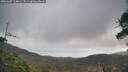 ./images/calvert/fitz-hugh-hecate/20260407/fitz-hugh-hecate20260407_104001M.jpg