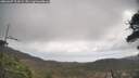 ./images/calvert/fitz-hugh-hecate/20260407/fitz-hugh-hecate20260407_104502M.jpg