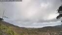 ./images/calvert/fitz-hugh-hecate/20260407/fitz-hugh-hecate20260407_115001M.jpg
