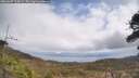 ./images/calvert/fitz-hugh-hecate/20260407/fitz-hugh-hecate20260407_125001M.jpg
