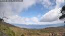 ./images/calvert/fitz-hugh-hecate/20260407/fitz-hugh-hecate20260407_131502M.jpg