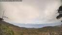 ./images/calvert/fitz-hugh-hecate/20260407/fitz-hugh-hecate20260407_135501M.jpg