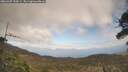 ./images/calvert/fitz-hugh-hecate/20260407/fitz-hugh-hecate20260407_154501M.jpg