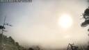 ./images/calvert/fitz-hugh-hecate/20260408/fitz-hugh-hecate20260408_083001M.jpg