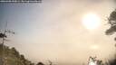 ./images/calvert/fitz-hugh-hecate/20260408/fitz-hugh-hecate20260408_090001M.jpg