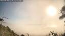 ./images/calvert/fitz-hugh-hecate/20260408/fitz-hugh-hecate20260408_090501M.jpg